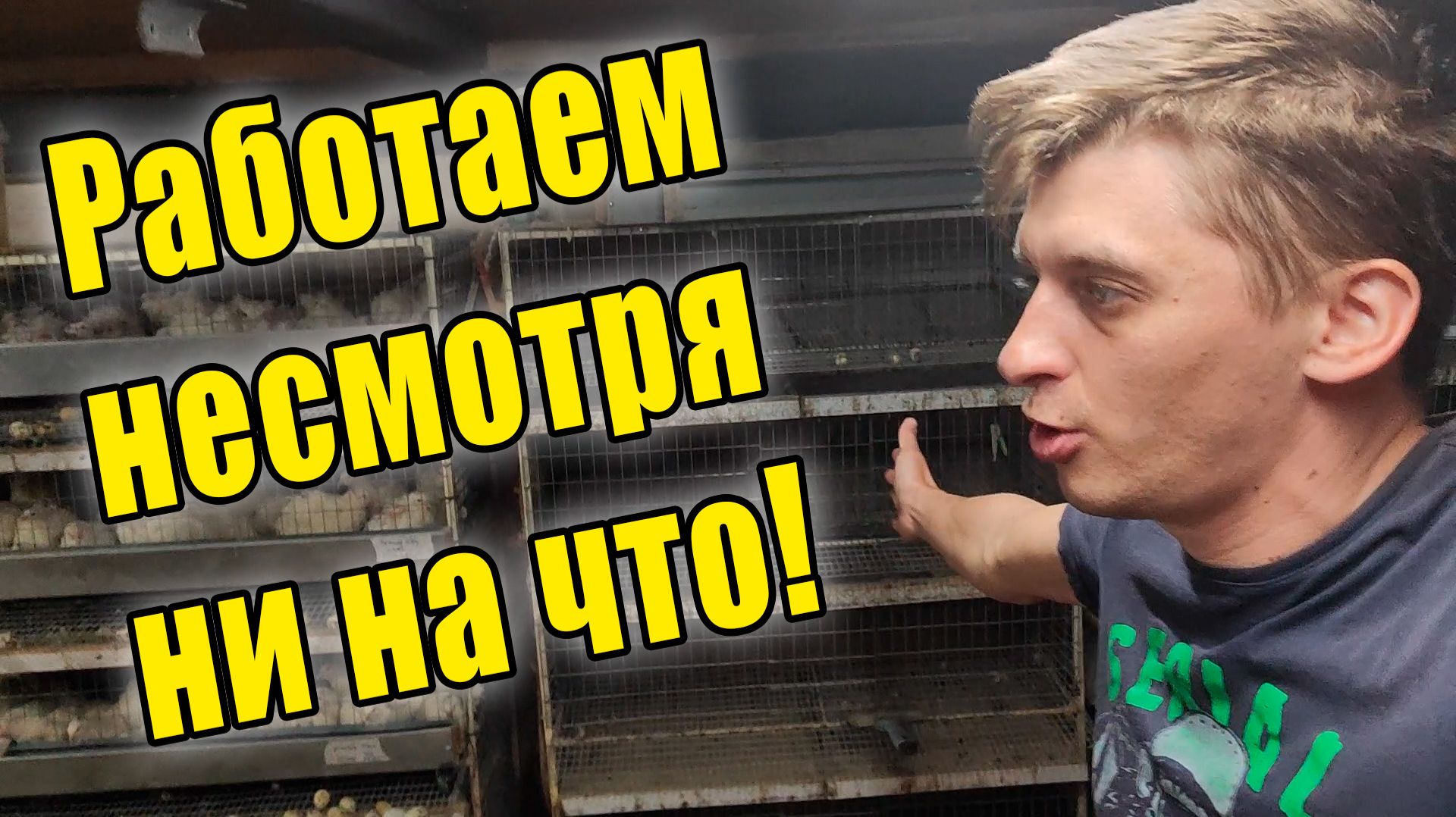 Ферма под угрозой, но мы не сдаёмся / Оживил генератор