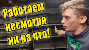 Ферма под угрозой, но мы не сдаёмся / Оживил генератор