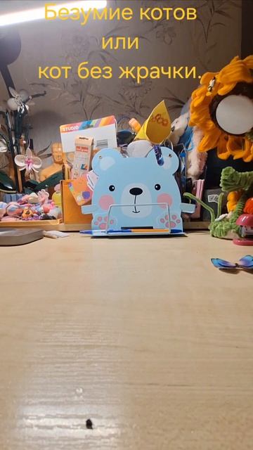 Безумие котов или кот без жрачки.