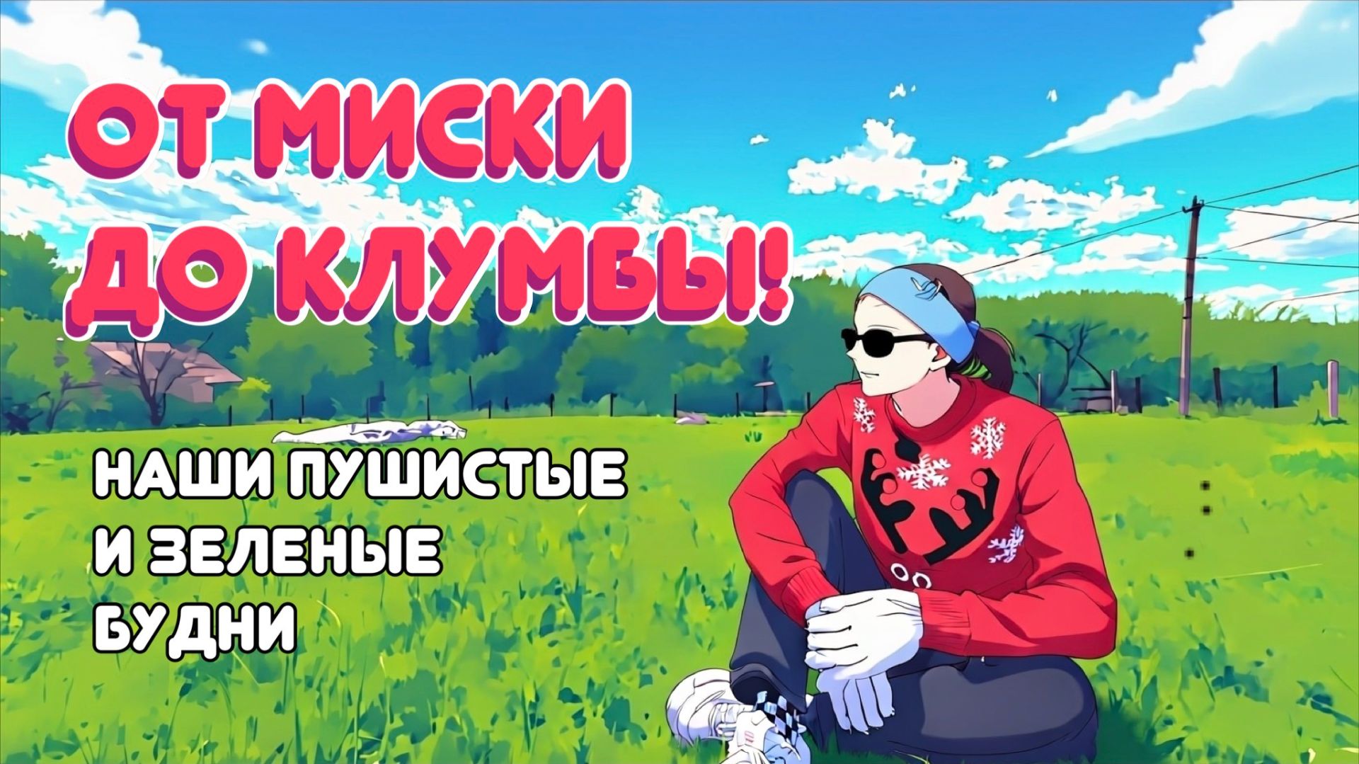 🐱 🌹  Коты, роза и заботы на участке!