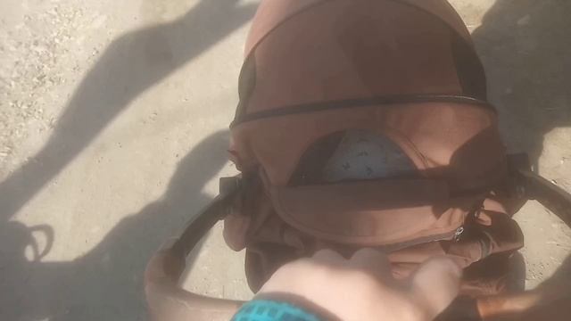 прогулка с реборном Энеем