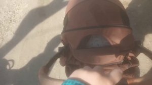 прогулка с реборном Энеем