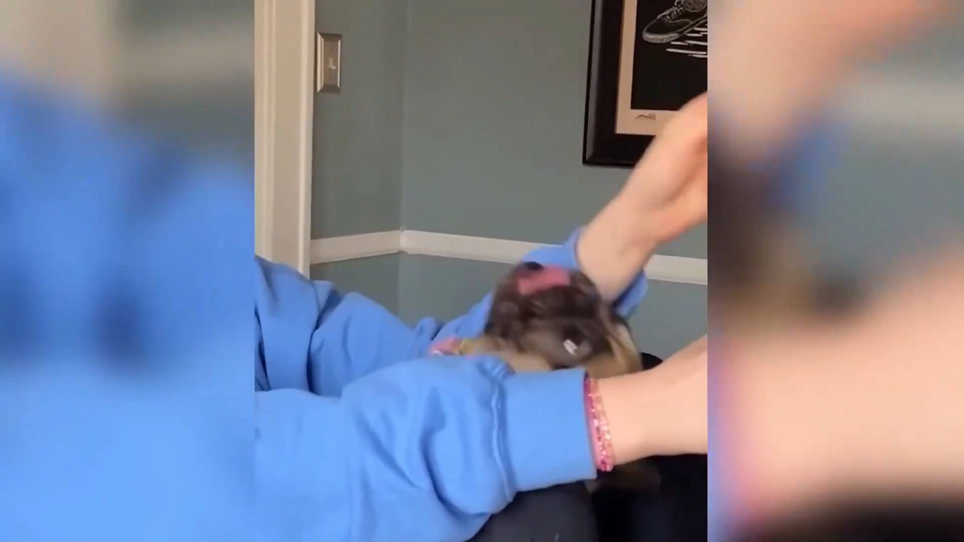 Приколы с животными🤗 Смешные видео про животных 🤗СМЕШНОЕ ВИДЕО😍 Наши любимые смешные животные