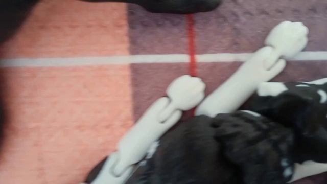 2 часть
(Не любимый ученик)