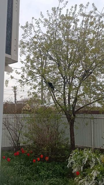 Лёша на охоте