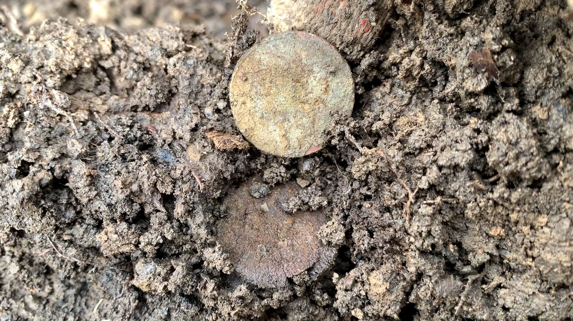 ЦАРСКИЕ МОНЕТЫ ПОД НОГАМИ ПЕРЕМЕНЧИВАЯ ПОГОДА В КРЫМУ КОП 2026