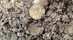 ЦАРСКИЕ МОНЕТЫ ПОД НОГАМИ ПЕРЕМЕНЧИВАЯ ПОГОДА В КРЫМУ КОП 2026