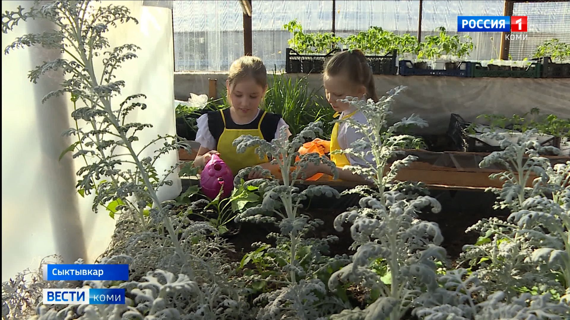 Юные воспитанники объединения «Азбука природы» готовятся представить свои проекты в  родном РЦЭО