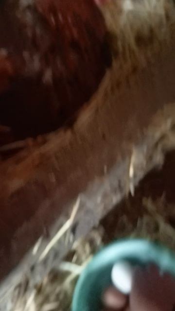 Собираю налоги)))