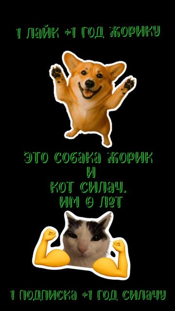 Это собака Жорик и кот Силач.