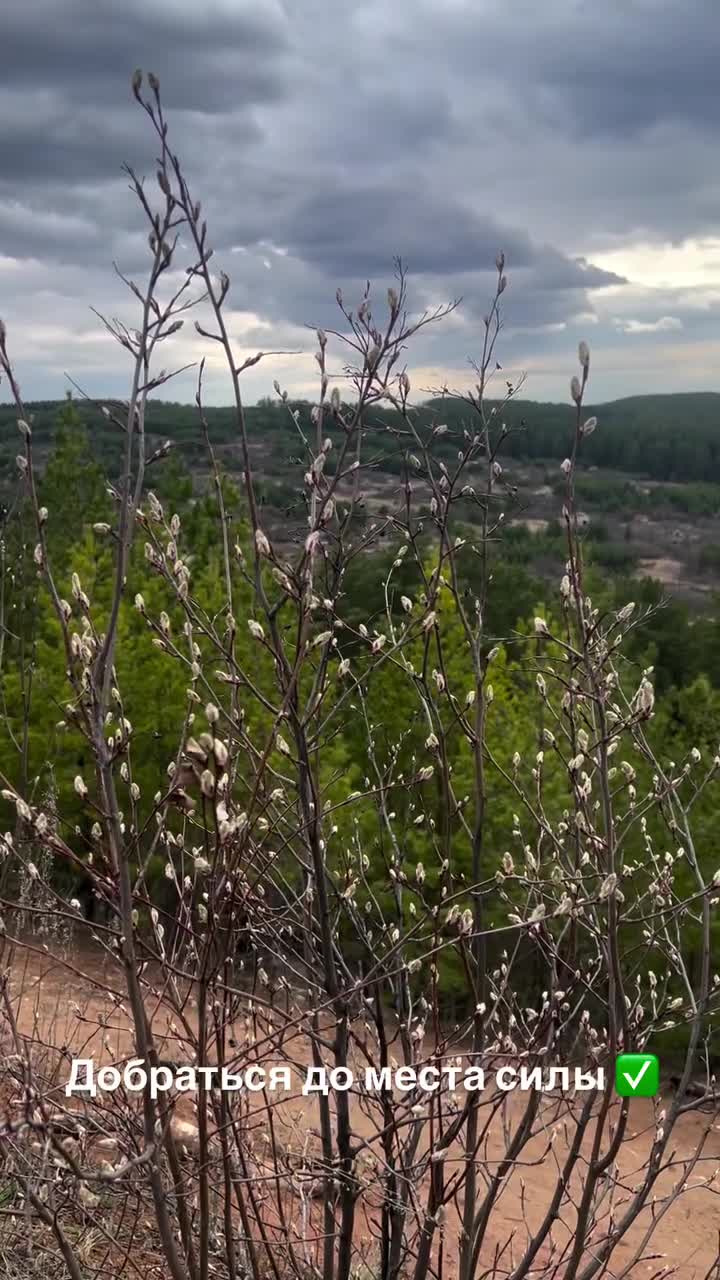 😍 Вам всегда, есть что сказать 👇 @likvp