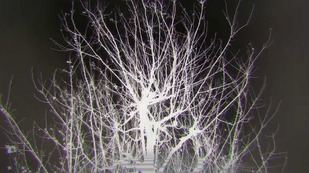 Дорохедоро 1 сезон эндинг 1 (ED1) - Who Am I ?