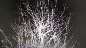 Дорохедоро 1 сезон эндинг 1 - Who am I ?