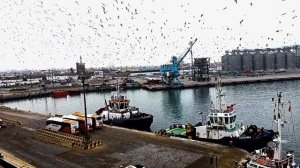 заходим в порт Перу