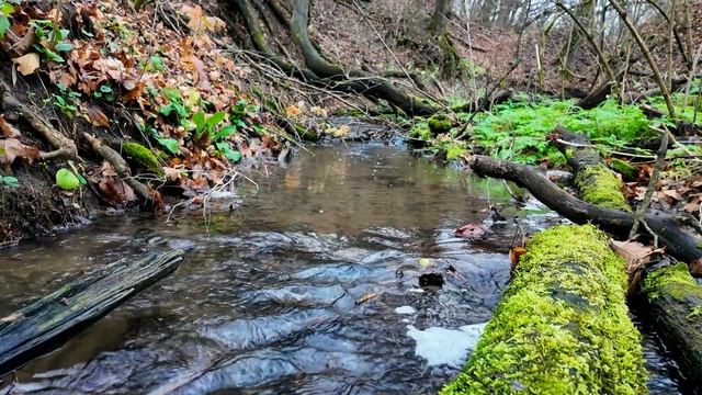 4K This melody will carry you to sleep