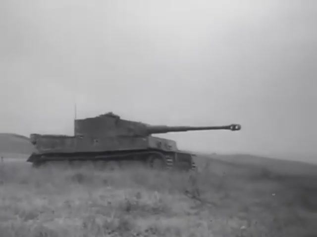 Боевые машины 