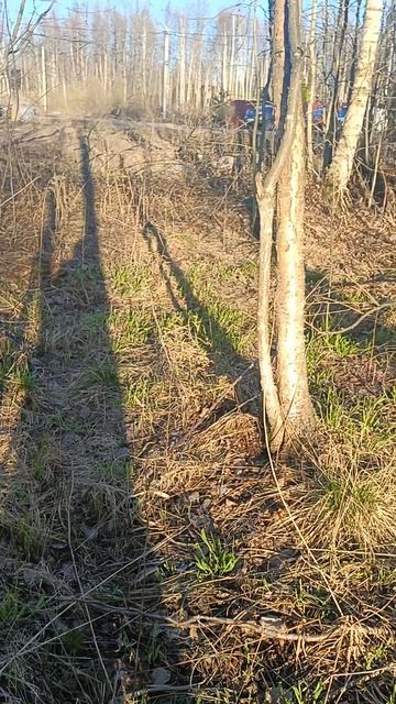 УЧАСТОК_ СНТ Надежда_57км. Мурманского ш._VID20260411182611