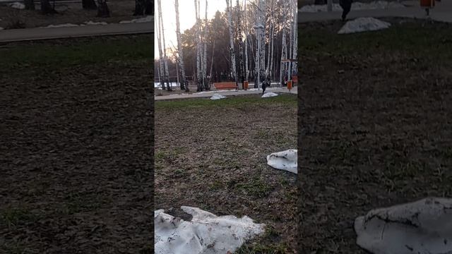 VID_20260327_185952.mp4