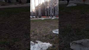 VID_20260327_185952.mp4