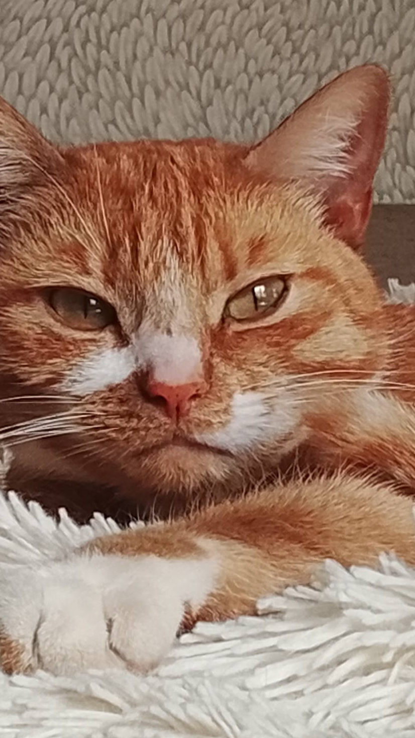 клип на песню.    завтра выложу пост