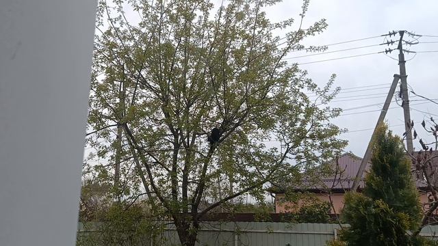 Лёша на охоте 2