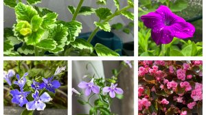 Обзор стеллажа в Апреле!