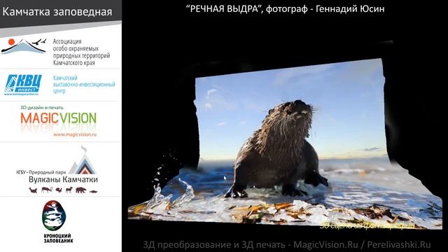 3д постер стерео варио Речная выдра фотограф Геннадий Юсин_печать MagicVision_Ru