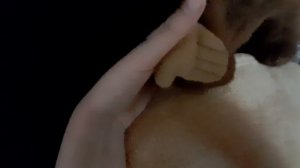 ПРИКЛЮЧЕНИЯ КОСТИ И Гери