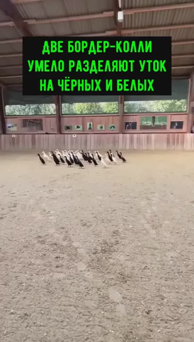 Как такое возможно