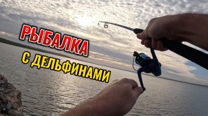 Рыбалка с дельфинами