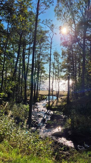 28.09.2025. Зеленогорск
