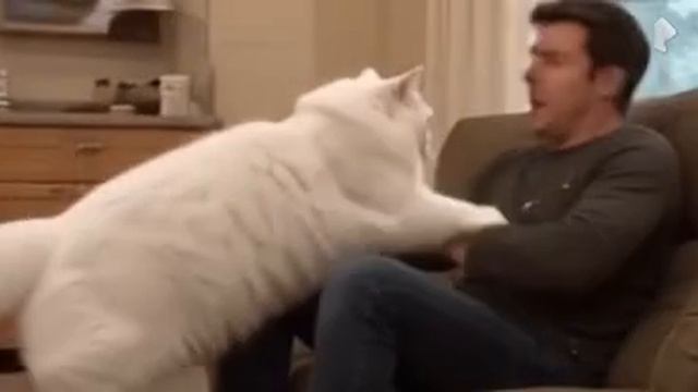 бабах и гагах