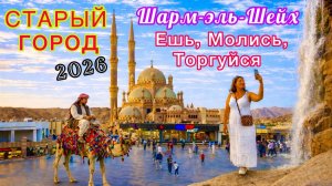 Египет 2026 🇪🇬 Старый город ЛУЧШЕ чем ПИРАМИДЫ! Шарм эль Шейх. Главные РЕСТОРАНЫ с морепродуктами