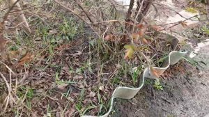 ПОЕЗДКА НА ДАЧУ 17.04.26