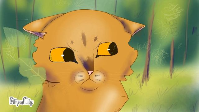 6 и 7 часть на мап Костезвезда.