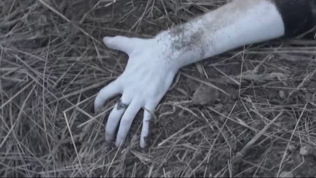 Bjork_&_La Будда_-_Там где поют небеса 2026