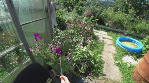 Влог от 03.08.2022