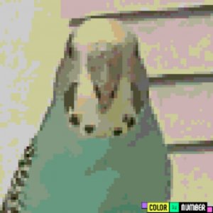 снимаем видео с подругой