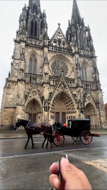 Прогулка по Праге: лошадь на фоне собора #Прага #Собор #Прогулка