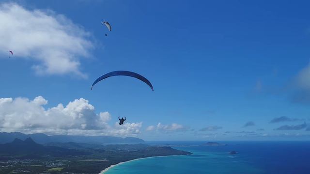 Dub Deep Techno Mix 2026 ｜ Hawaii Motion ｜ Cinematic 4K Visuals