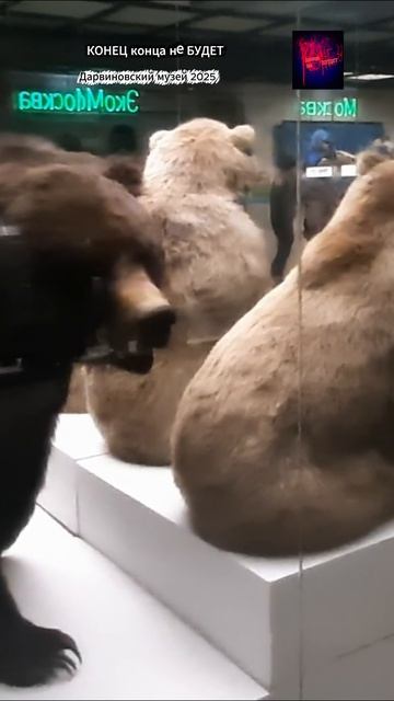 Москва. Дарвиновский музей. Жизнь вовремя СВО. Декабрь 2025.