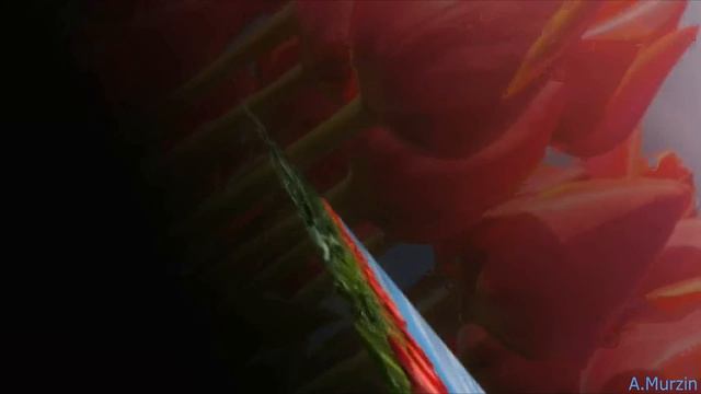 Angelo Taylor - Voyager