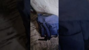 Реборн Илона