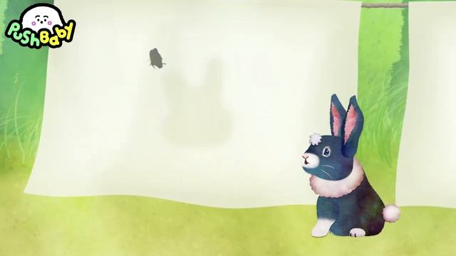 PushBaby Best Treasure Box Vol.4  10min Compilation  PushBaby Official