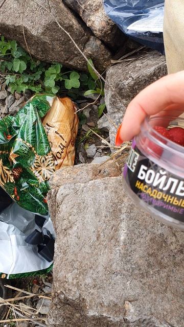 Попробовала бойл на вкус🤭 ( прикормку для рыбы)