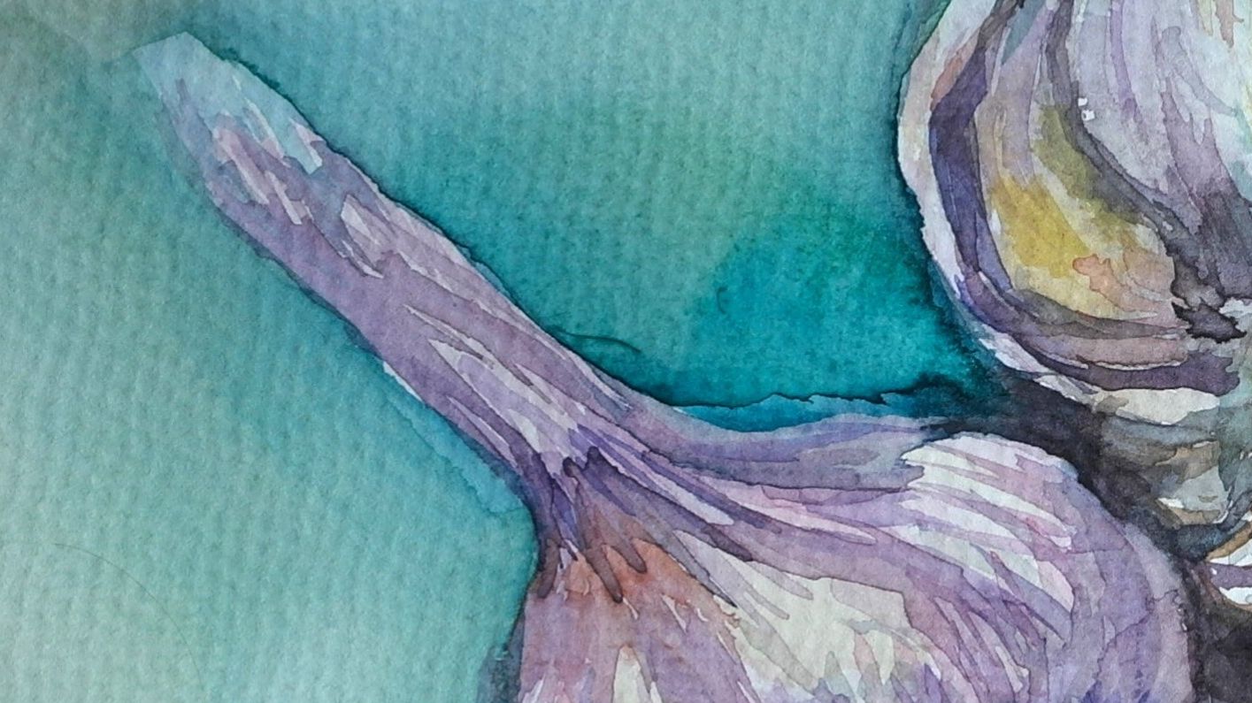 Акварель. Ботанический  этюд