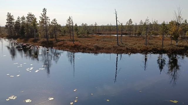 северное болото