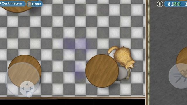 Кот сожрал  весь мир что нас ждёт дальше какой персонаж