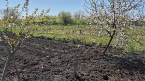 Я ДУМАЛА ЧТО ЭТО НЕ ВЫПОЛНИМО...