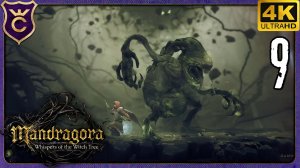 ПЕРВАЯ ЭНТРОПИЧЕСКАЯ МАНДРАГОРА! 9 Mandragora Whispers of the Witch Tree